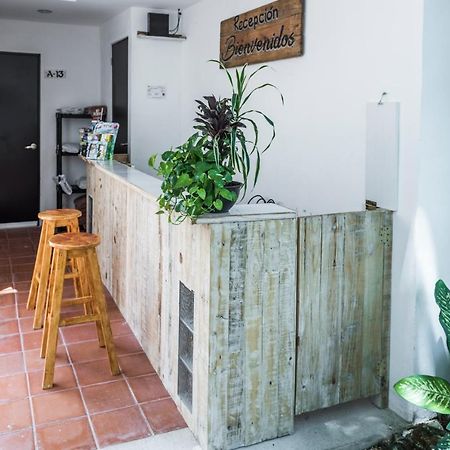 Villa Alejandra Hotel Boutique Playa del Carmen Eksteriør bilde