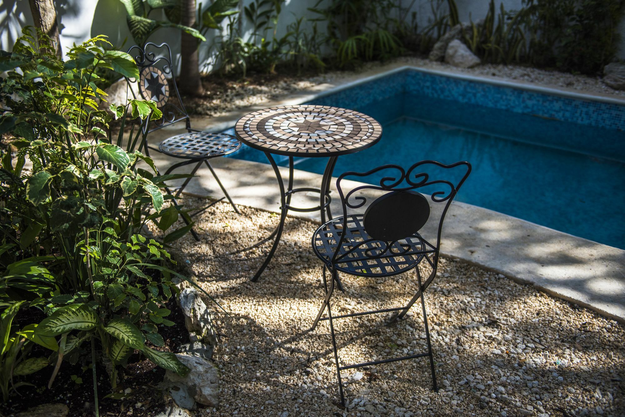 Villa Alejandra Hotel Boutique Playa del Carmen Eksteriør bilde