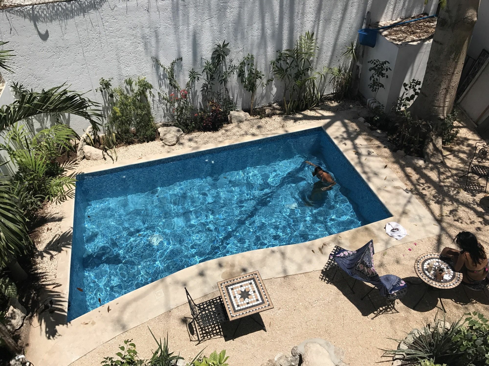 Villa Alejandra Hotel Boutique Playa del Carmen Eksteriør bilde