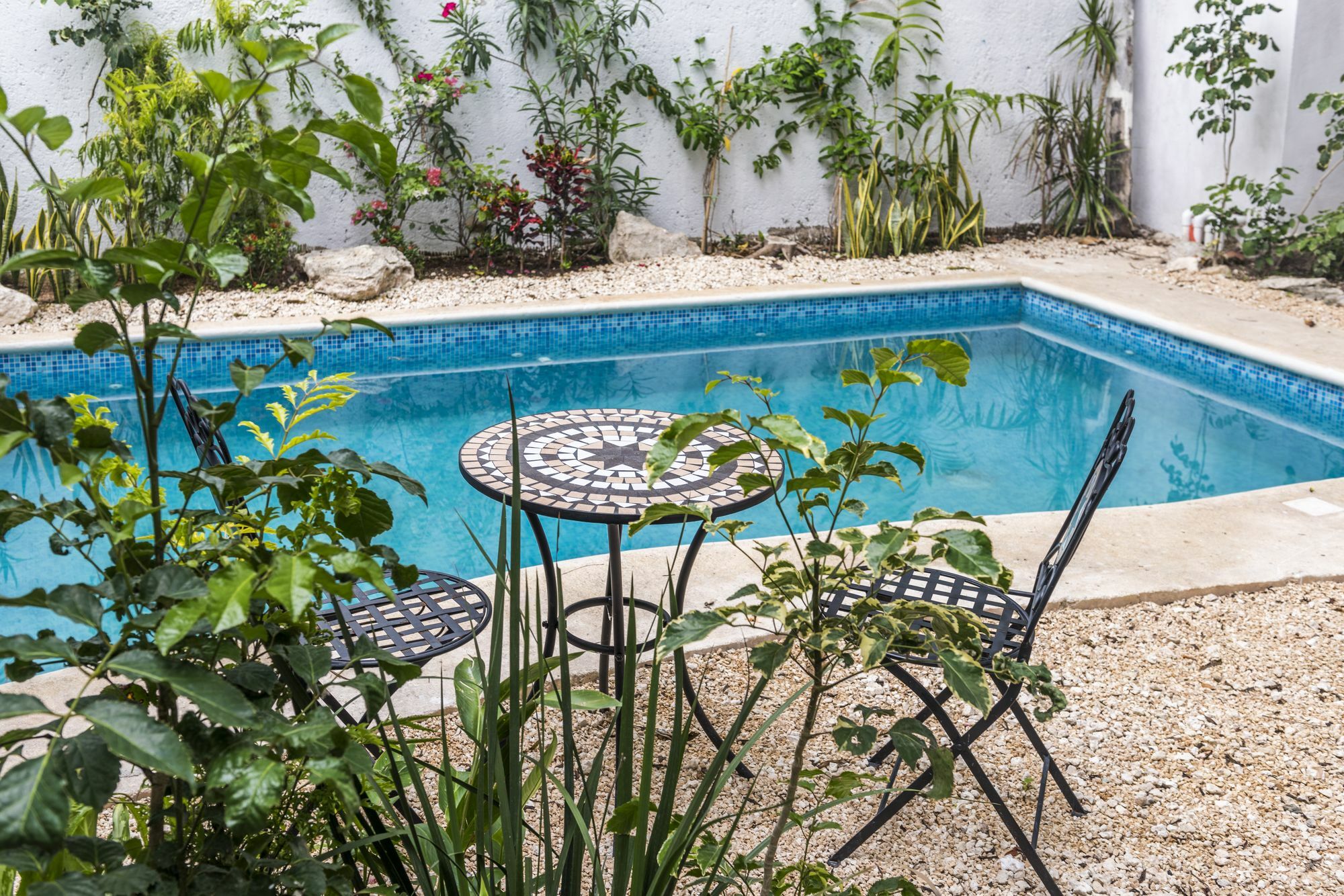 Villa Alejandra Hotel Boutique Playa del Carmen Eksteriør bilde